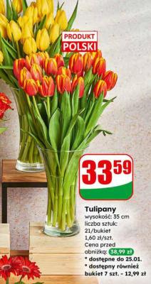 Tulipany 21 szt. promocja w Dino