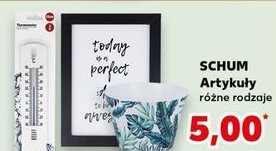 Kubek Schum promocja w Kaufland
