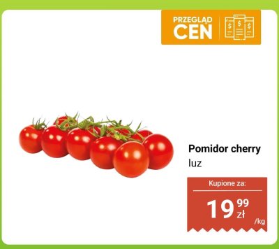 Pomidor cherry luz promocja w Dino