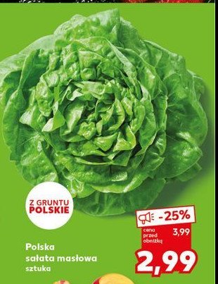 Sałata masłowa polska promocja w Selgros