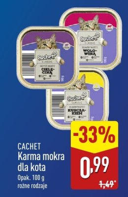 Karma mokra dla kota CACHET różne rodzaje promocja w Aldi