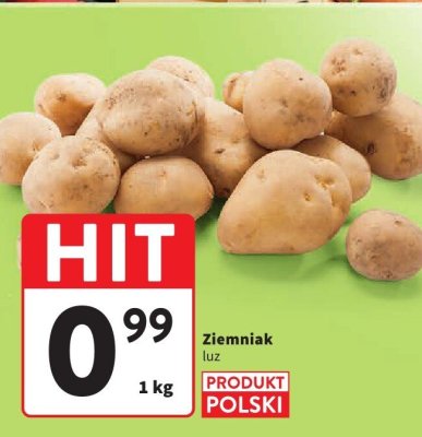 Ziemniak luz promocja w Intermarche