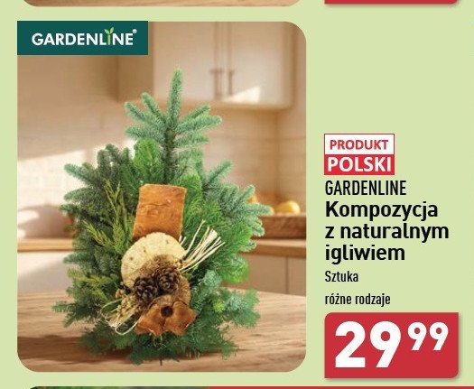 Kompozycja z naturalnym igliwiem GARDEN LINE promocja w Aldi