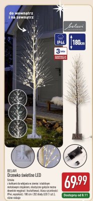 Drzewko świetlne LED  promocja w Aldi