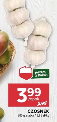 Czosnek - młynek Kotanyi promocja w Stokrotka