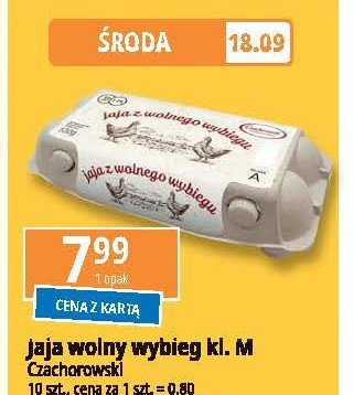 Jaja z wolnego wybiegu kl. m Czachorowski promocja