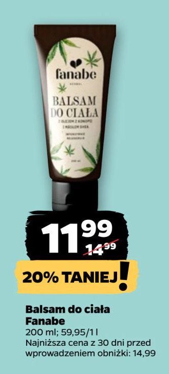 Balsam do ciała konopie Fanabe promocja w Netto