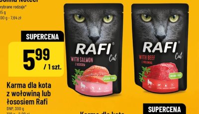 Karma dla kota z łososiem promocja w POLOmarket