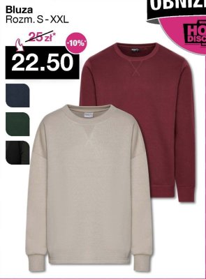 Bluza męska z długim rękawem promocja w Woolworth