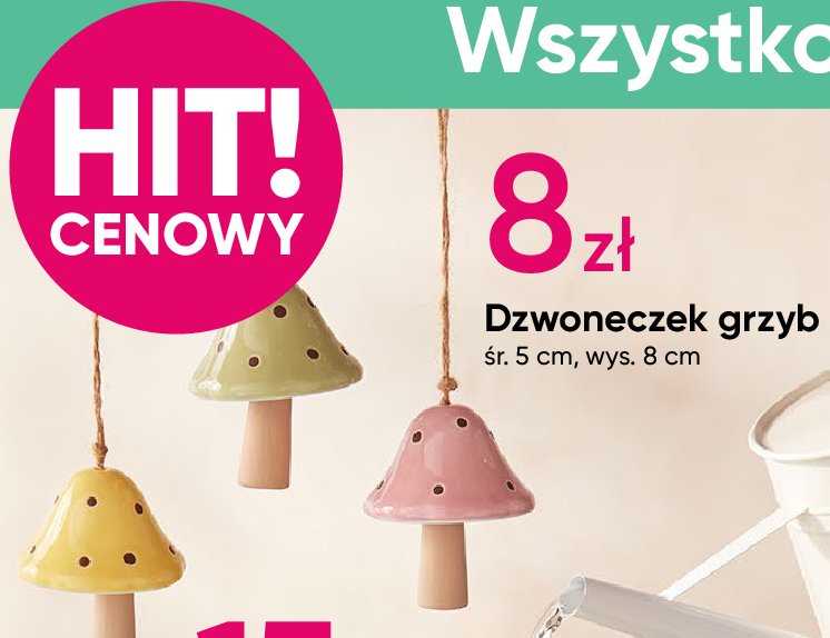 Dzwoneczek grzyb 8 cm promocja w Pepco