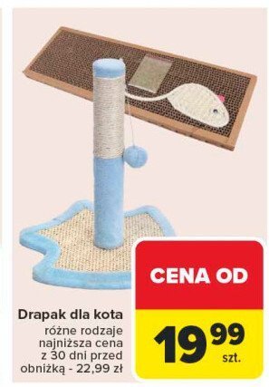 Drapak dla kota promocja w Carrefour