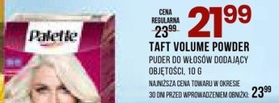 Puder TAFT VOLUME POWDER do włosów dodający objętości, 10 g promocja w Drogerie Natura