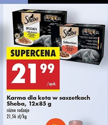 Karma dla kota smaki drobiowe w galaretce Sheba delicacy in jelly promocja