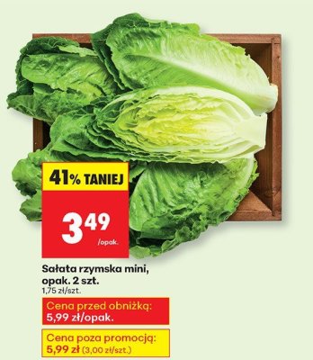 Sa艂ata rzymska mini hiszpania promocja w Biedronka