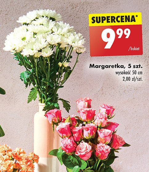 Margaretki promocja