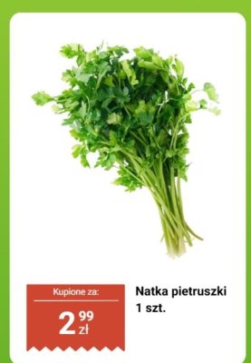 Natka pietruszki promocja w Biedronka