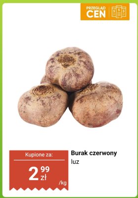 Burak czerwony luz promocja w Biedronka