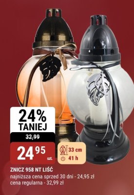 Znicz promocja w bi1