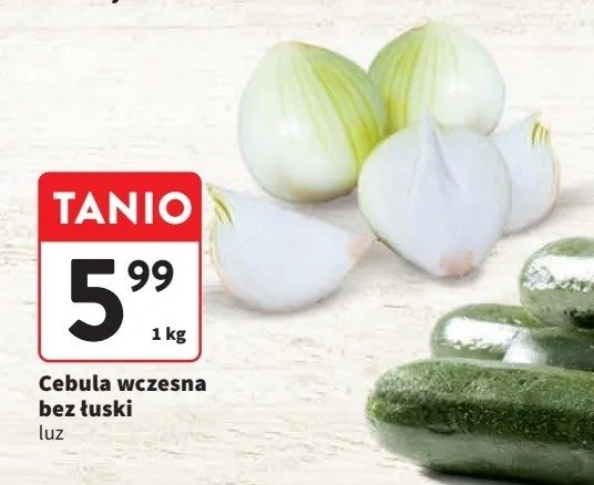 Cebula wczesna promocja