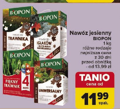 Nawóz jesienny do trawnika Biopon promocja