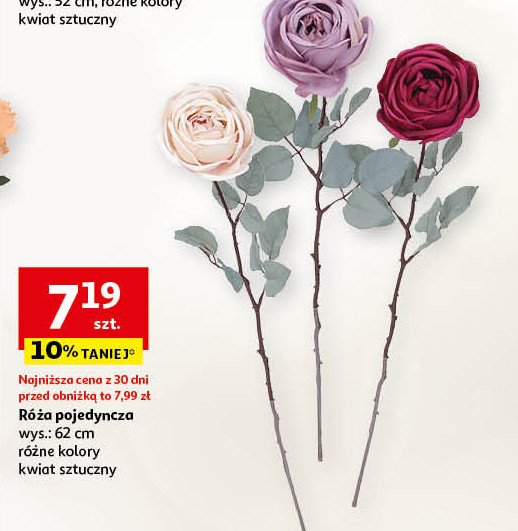 R贸偶a 62 cm promocja