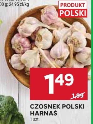 Czosnek polski harnaś promocja w Stokrotka