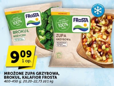Zupa Grzybowa Frosta promocja w Euro Sklep