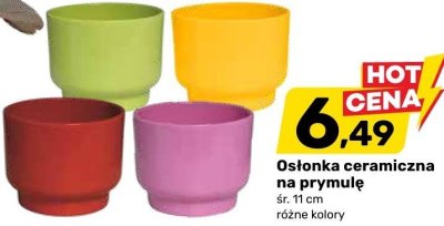 Osłonka ceramiczna na prymulę śr. 11 cm różne kolory Bricomarche promocja