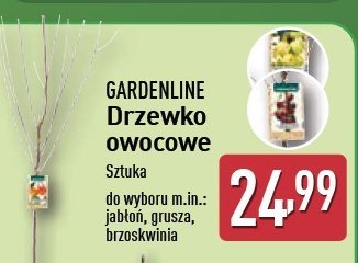 Brzoskwinia GARDEN LINE promocja