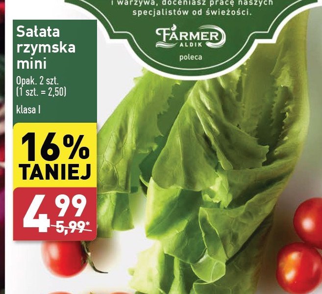 Sałatka rzymska mini promocja