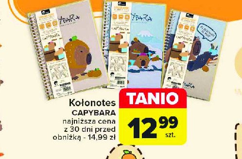 Kołonotes capybara promocja