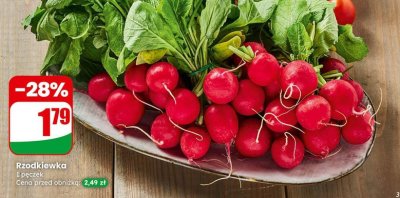Rzodkiewka promocja w Dino