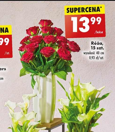 Róża 40 cm promocja