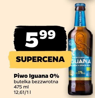 Piwo Iguana 0% promocja w Netto