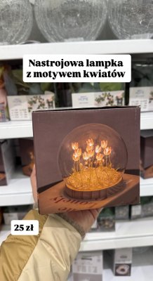 Lampka dekoracyjna z motywem kwiatów promocja w Pepco