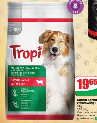 Sucha karma dla psa z wołowiną 5 kg promocja w Dino