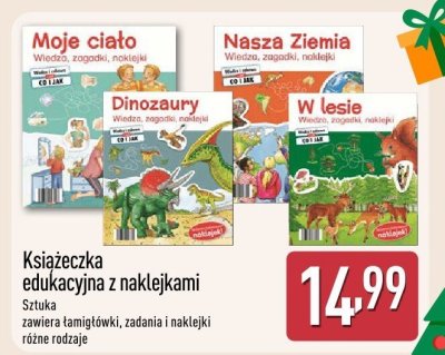 Książeczka edukacyjna z naklejkami promocja w Aldi