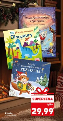 Książka różne rodzaje promocja w Kaufland