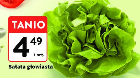 Sałata głowiasta promocja w Intermarche