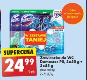 Kostka do wc ocean + pine Domestos power5 promocja