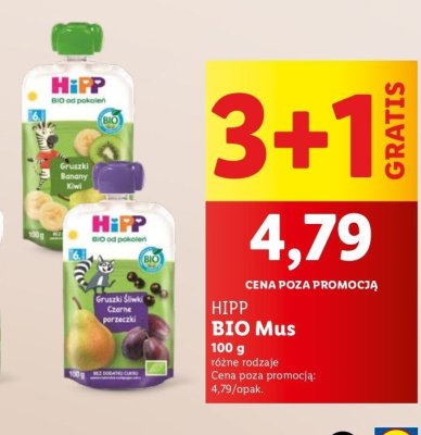 Mus gruszki - śliwki - czarne porzeczki Hipp bio promocja