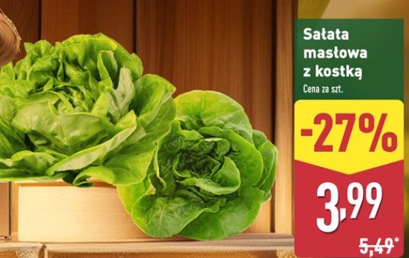 Sałata masłowa z kostką Świeże jesz promocja