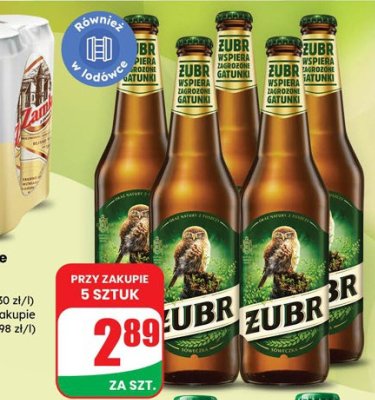 Piwo Żubr promocja w Dino