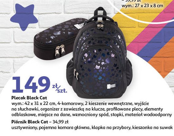 Piórnik z klapką black cats St. right promocja