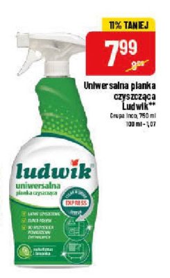 Pianka czyszcząca uniwersalna eukaliptus i limonka Ludwik promocja