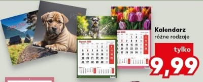Kalendarz szkolny b6 Interdruk promocja w Kaufland