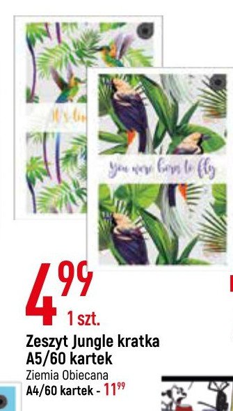 Zeszyt a5/60k. jungle kratka Ziemia obiecana promocja
