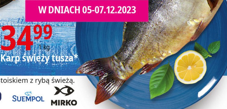 Karp 艣wiezy tuszka promocja