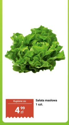 Sałata masłowa 1 szt. promocja w Biedronka