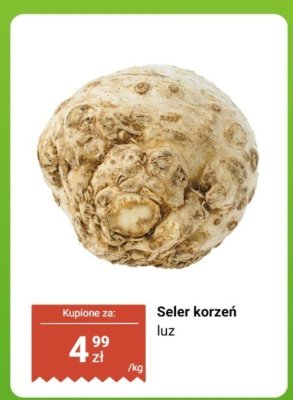 Seler korzeń luz promocja w Biedronka